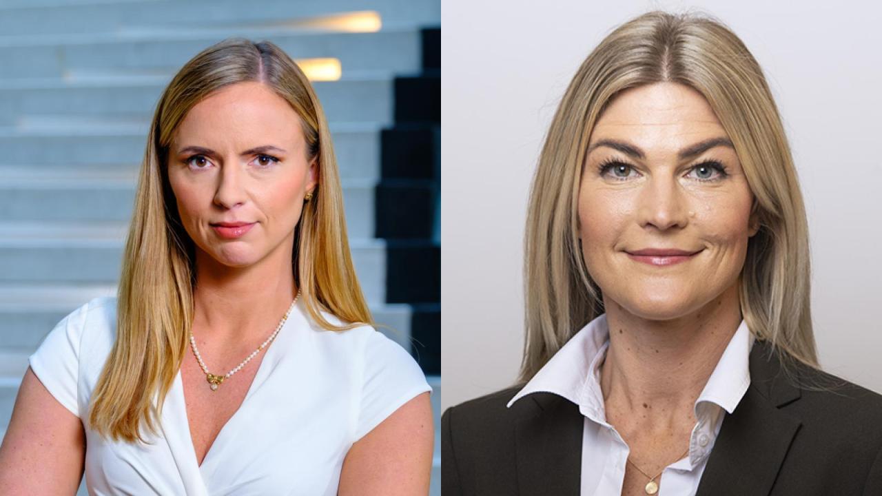 Skyttedal och Kardemark (KD)