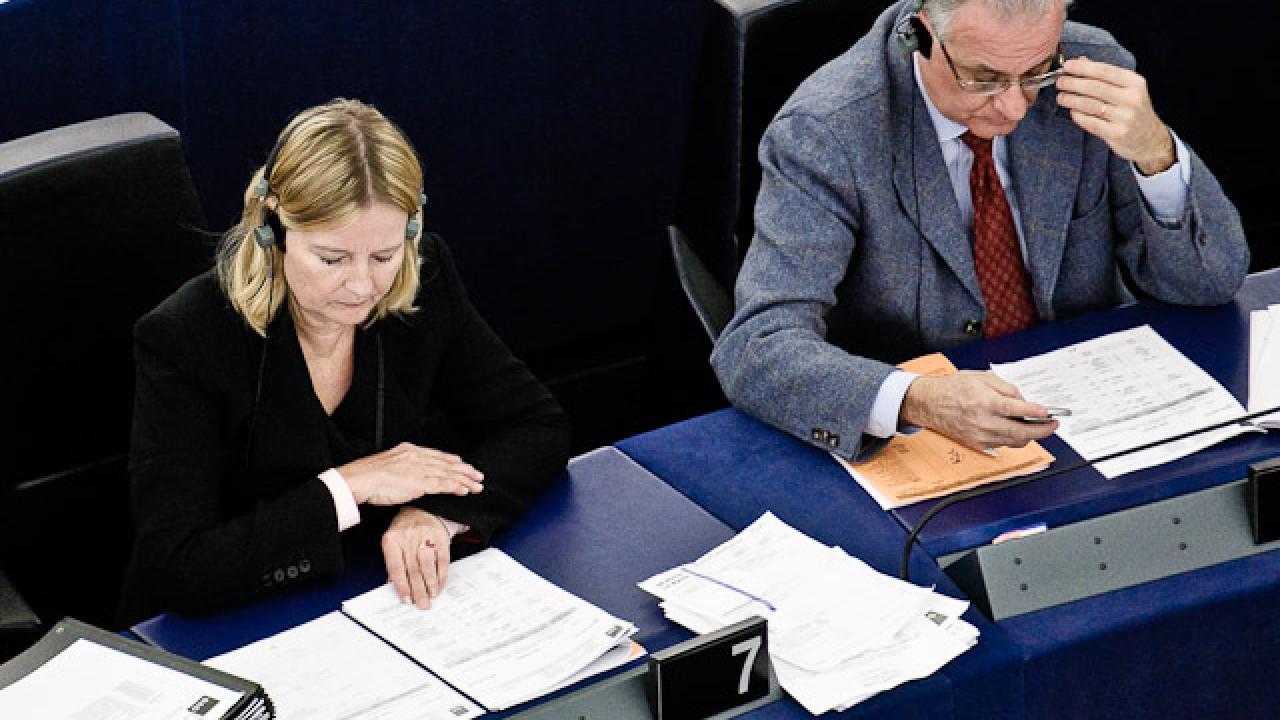 Marita Ulvskog (S) kunde inte ta sig till aprilmötet i EU-parlamentet.