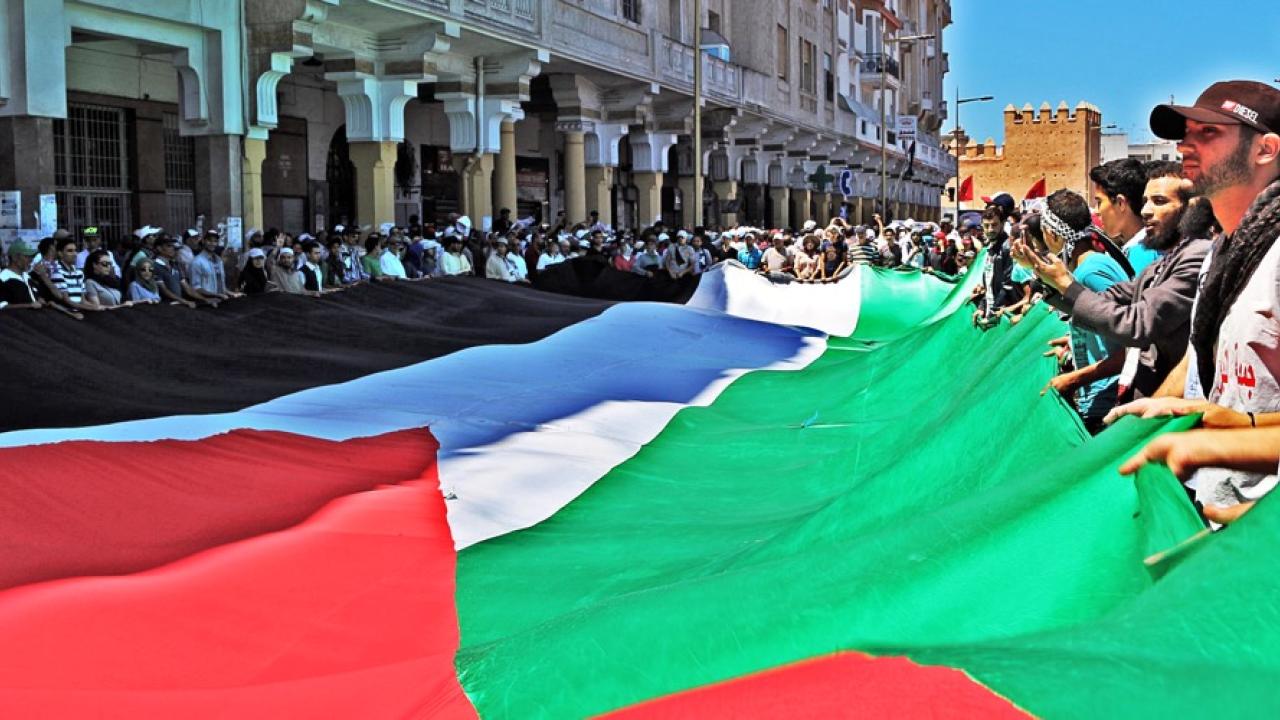 Den palestinska flaggan hålls upp. Arkivbild.