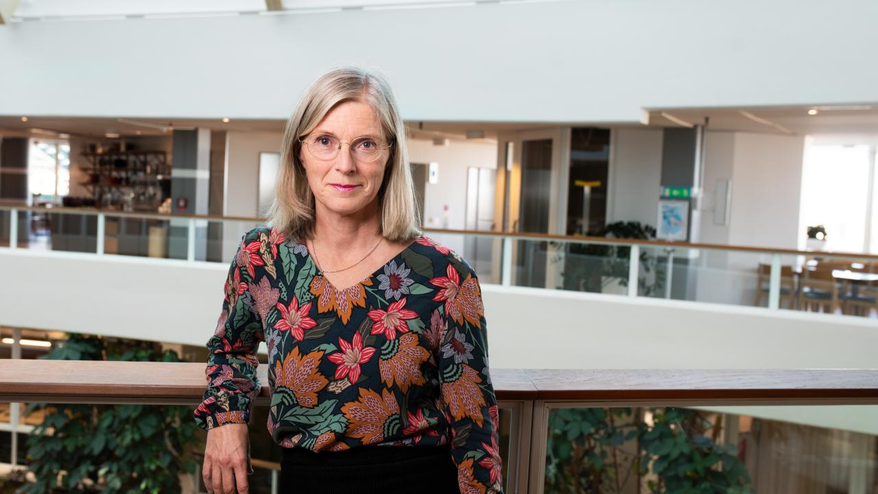 Gunilla Glasare på bild