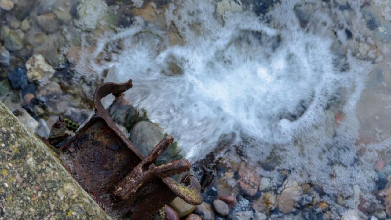 Östersjön är ett av världens mest förorenade hav. Arkivbild.