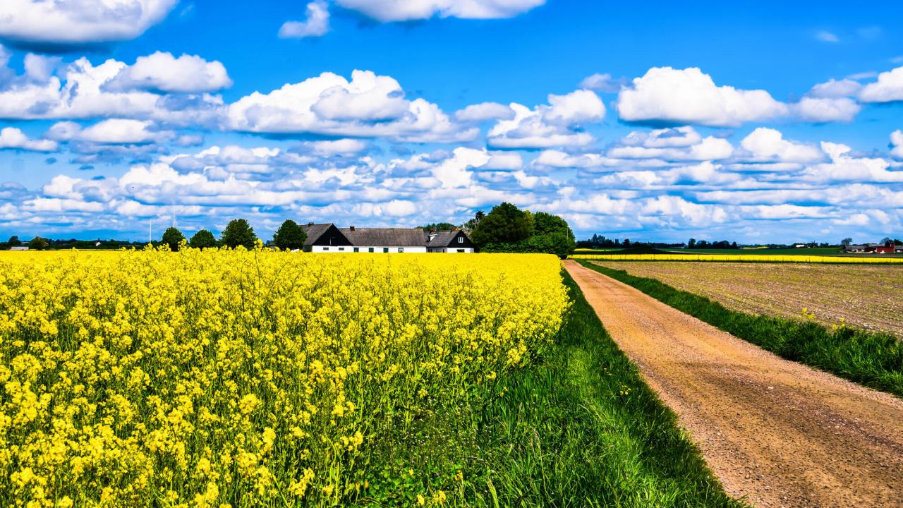 Landsbygd i Skåne. Arkivbild. Fotograf: Maria Eklind
