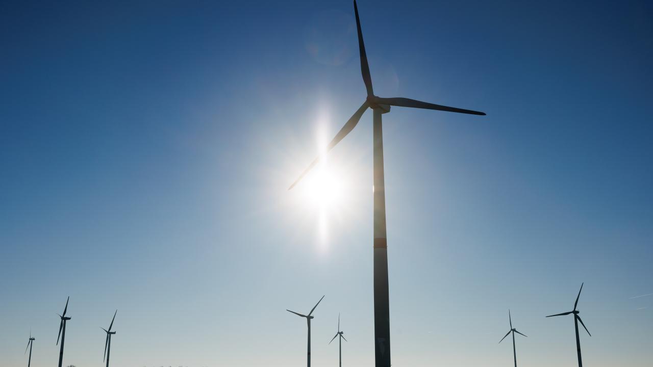 Till förnybart räknas bland annat vind, vatten, sol och biomassa. Arkivbild.