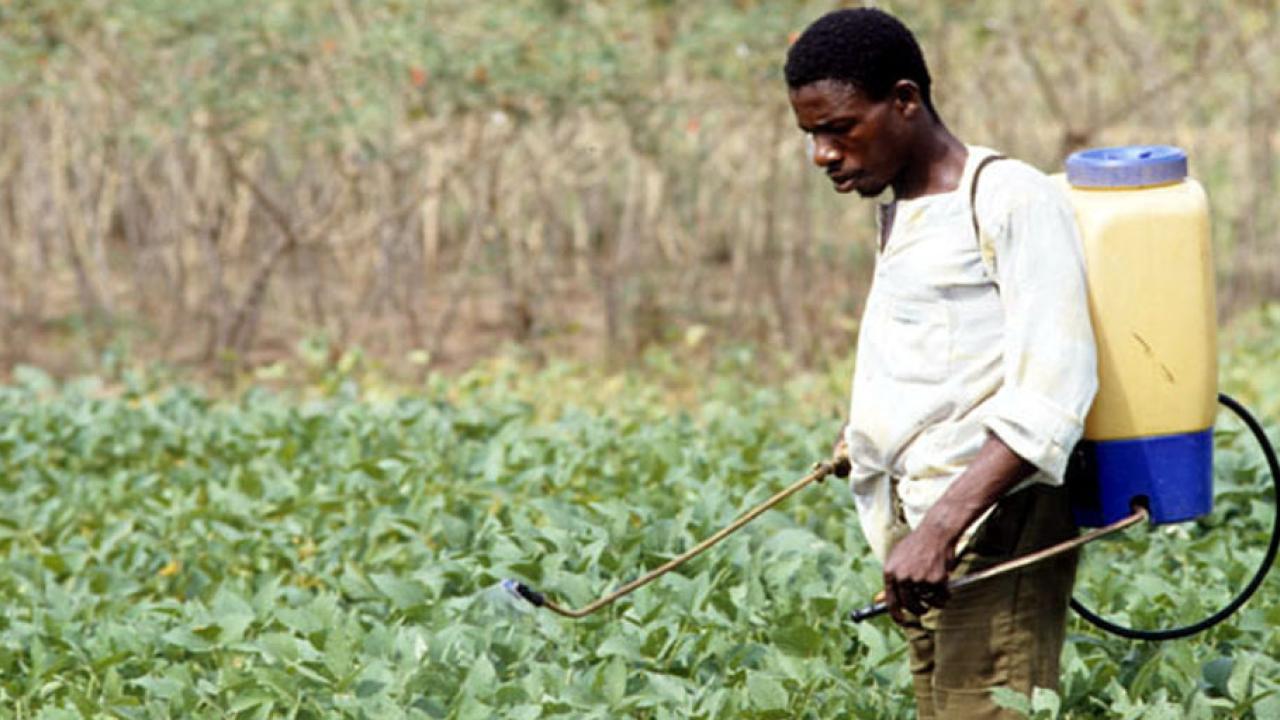 Frågan om arbetsvillkor när europeiska kommuner köper in varor är kontroversiell.