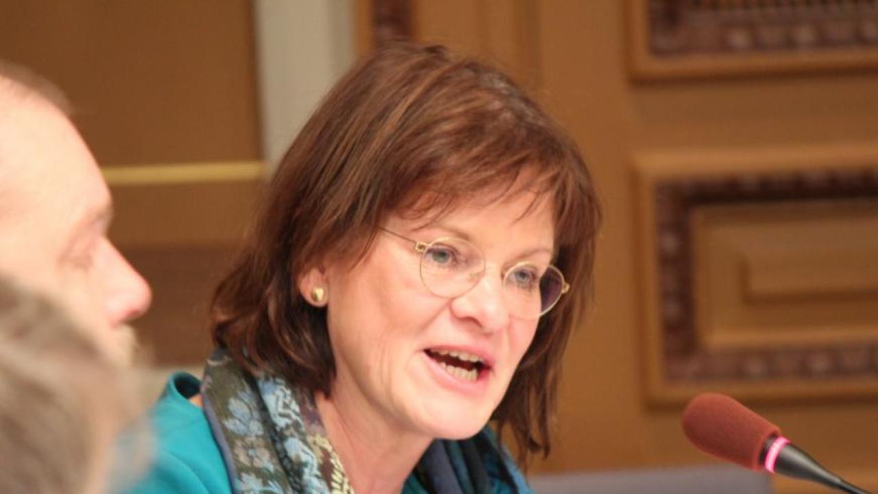 Marie Granlund (S) är kritisk till de KU-anmälningar som riktas mot regeringen.