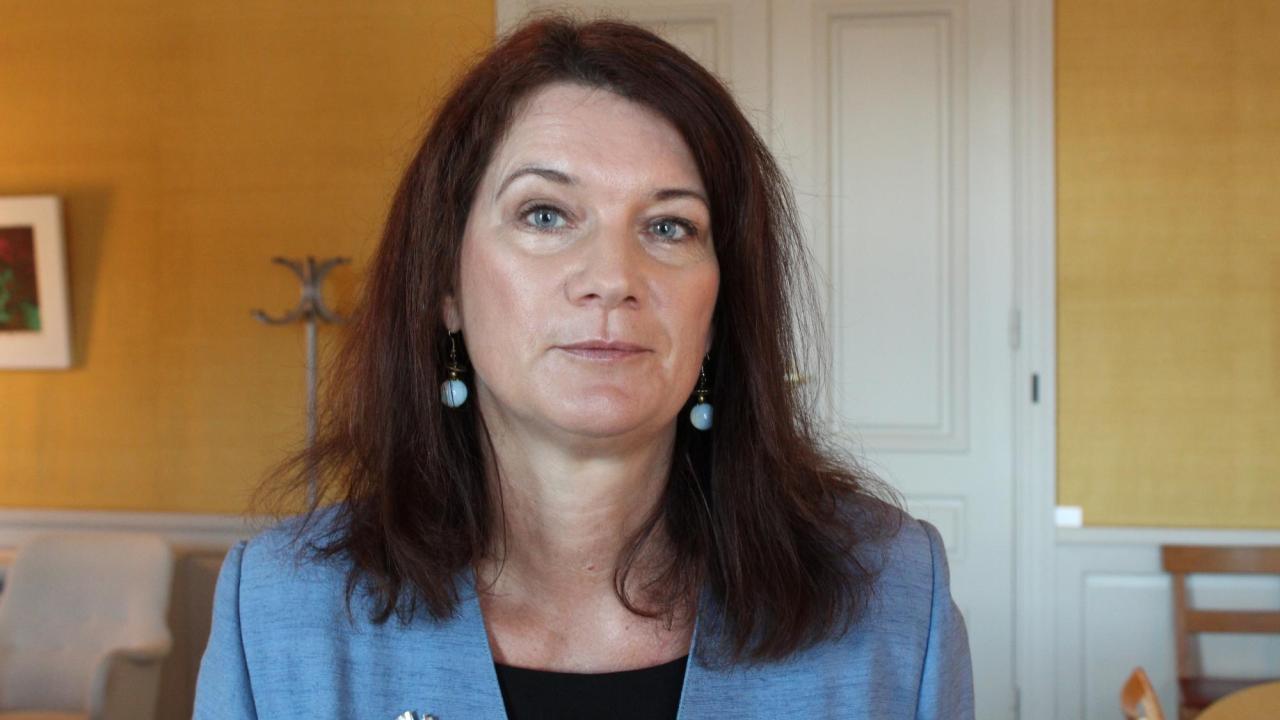 EU- och handelsminister Ann Linde (S) fick viss kritik när konsitutionsutskottet lämnade sin årliga rapport på torsdagen.