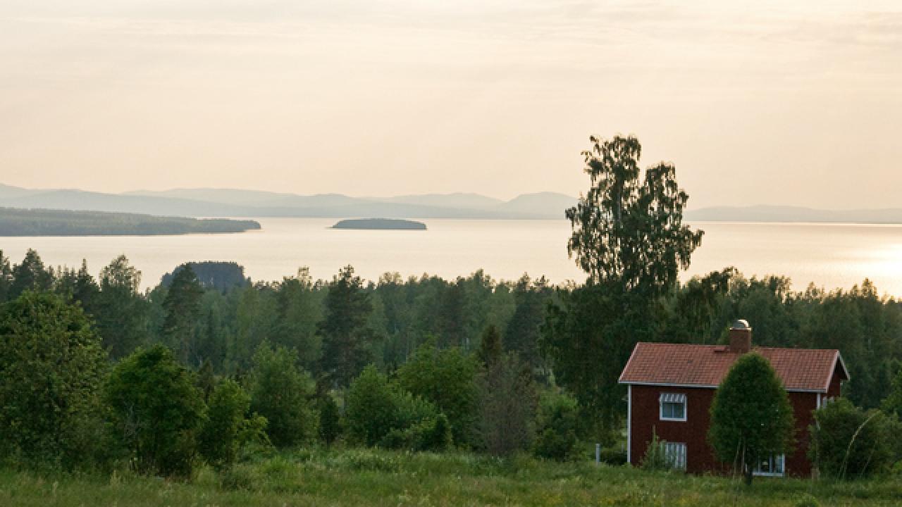 En EU-överenskommelse på fredagsmorgon innebär att skog och mark ska öka sin kollagning med 15 procent till 2030 jämfört med tidigare mål.