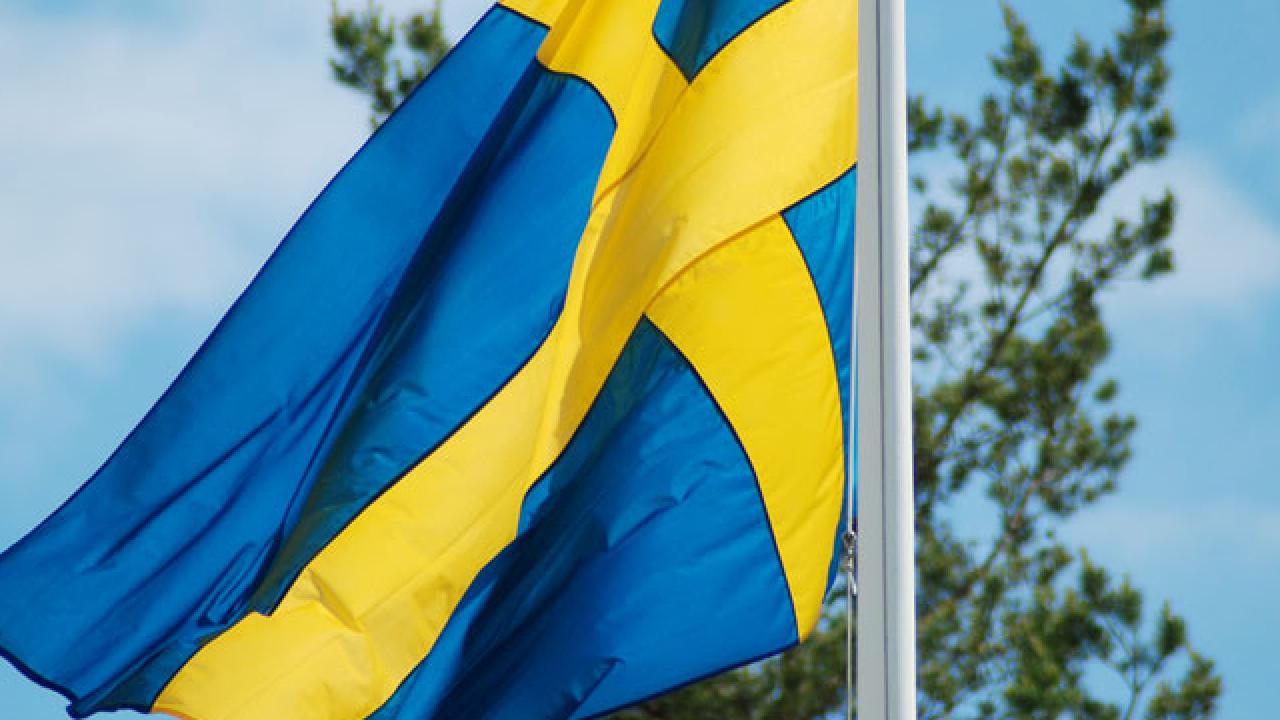 En demokrati blir vad vi gör den till. När det gäller hur balansen ser ut mellan hur mycket EU påverkar oss – till hur mycket vi i allmänheten engagerar oss och känner till om EU – så står vi nu inför en demokratisk kollaps. Det skriver författarna Olle Nygårds och Minal Nygårds.