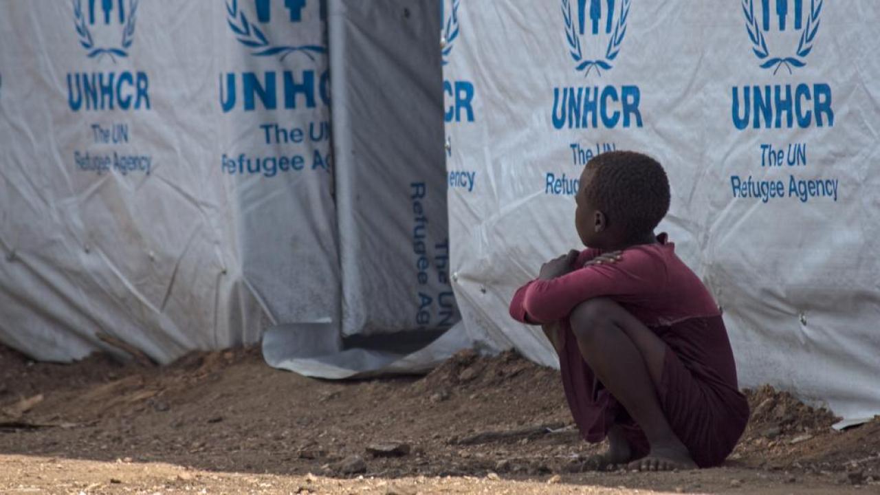 EU vill skapa migrantläger i Nordafrika i samarbete med FN-organen UNHCR och IOM. 