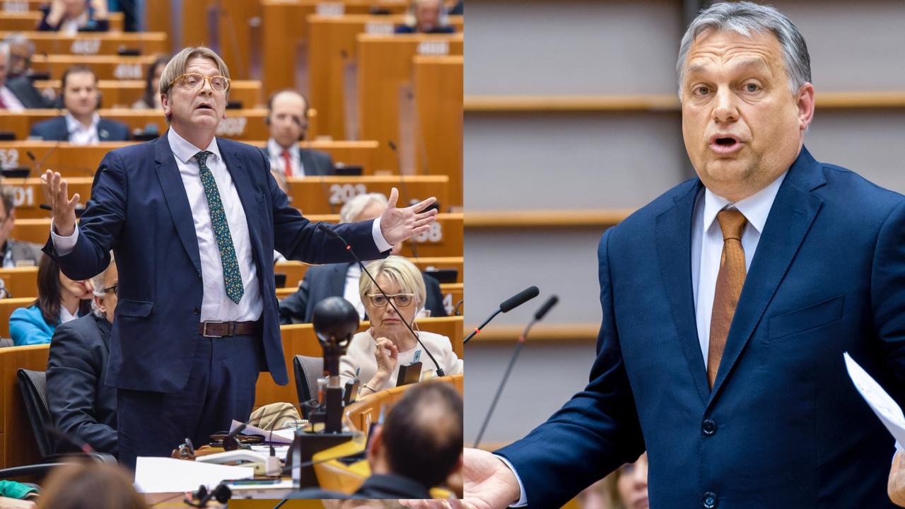 Den liberala Alde-gruppens ordförande Guy Verhofstadt och Ungerns nationalkonservative premiärminister Viktor Orbán vi onsdagens debatt.
