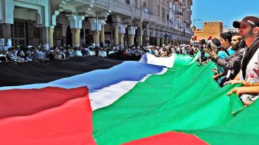 Den palestinska flaggan hålls upp. Arkivbild.