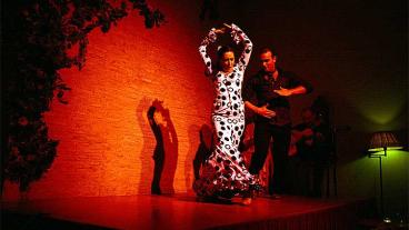 Arkivbild. Flamenco.