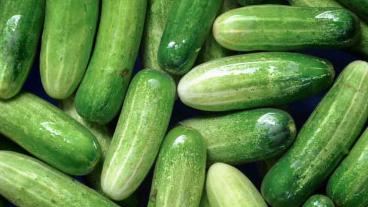 Efter att EU-kommissionen rensat upp i EU:s regeldjungel för att underlätta för små- och medelstora företag har 5590 rättsakter upphävts och miljarder sparats i minskade kostnader för företagen. Det finns bland annat inte längre några regler för hur gurkor ska se ut. Det skriver Pierre Schellekens.