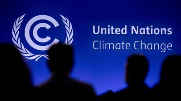 FN:s klimatkonferens COP27 äger rum i Egypten den 6–18 november och FN-konferensen om biologisk mångfald i Kanada den 7-19 december. Arkivbild.