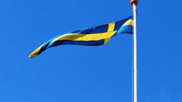 Att S vill använda EU-samarbetet för full sysselsättning saknar grund i deras förda politik, skriver Carl B Hamilton (FP). 